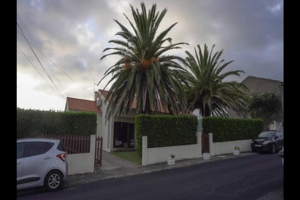 Vila Nova 维拉弗兰卡杜坎普 外观 照片
